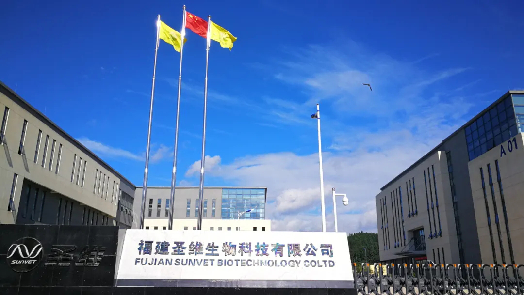 首页- 不朽情缘电子游戏官网
