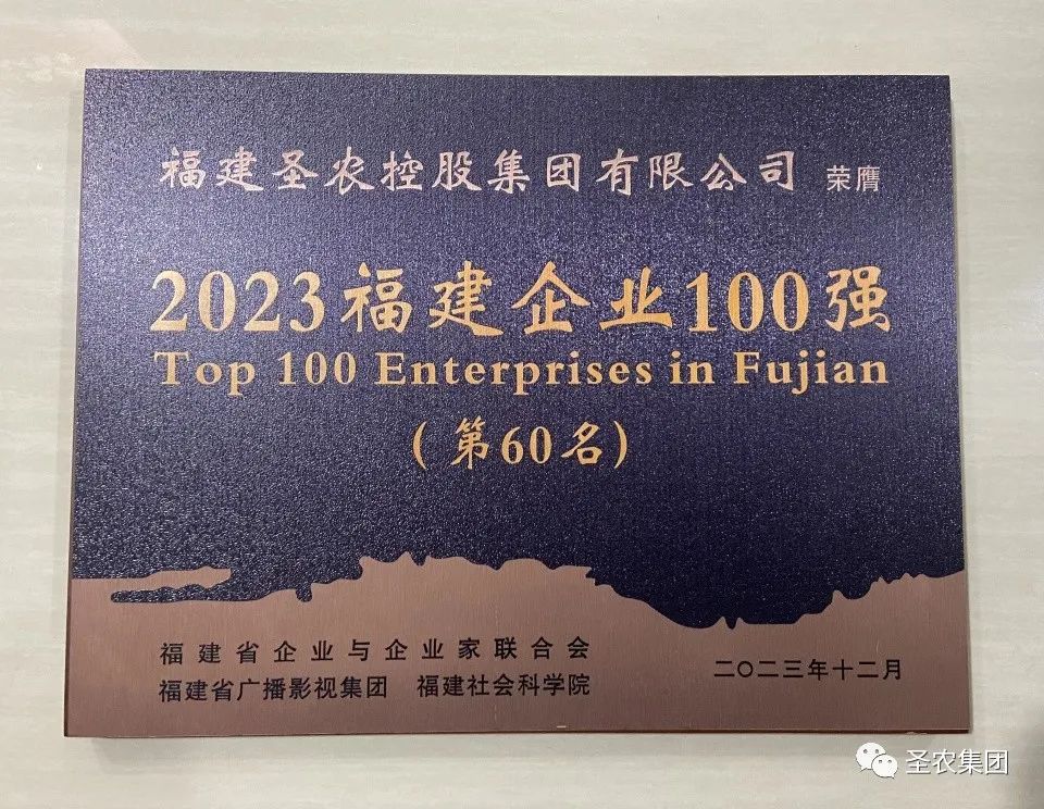 首页- 不朽情缘电子游戏官网